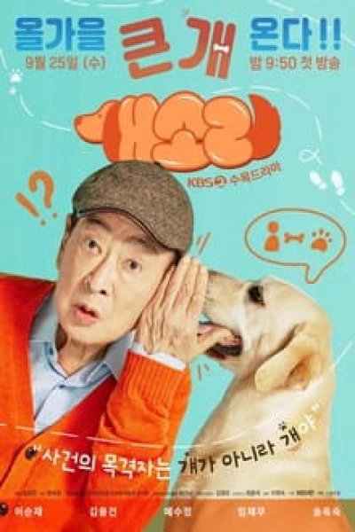 Chú Chó Biết Tuốt (Dog Knows Everything) [2024]