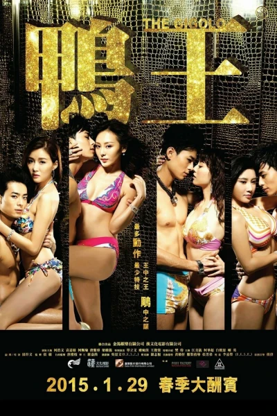 Trai Bao (The Gigolo) [2015]